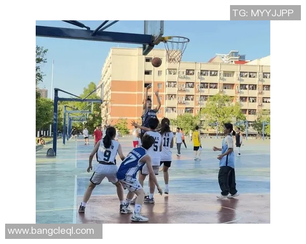 成都篮球队奋勇拼搏全国锦标赛的辉煌历程与未来展望 成都篮球队奋勇拼搏全国锦标赛的辉煌历程与未来展望