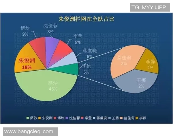 武汉排球队的战术风格与赛季表现深度分析与解读