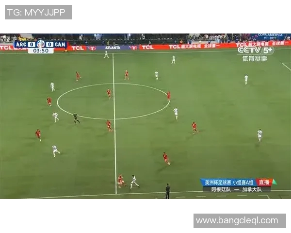 成都排球队运营革新探索新模式助力体育发展与品牌提升