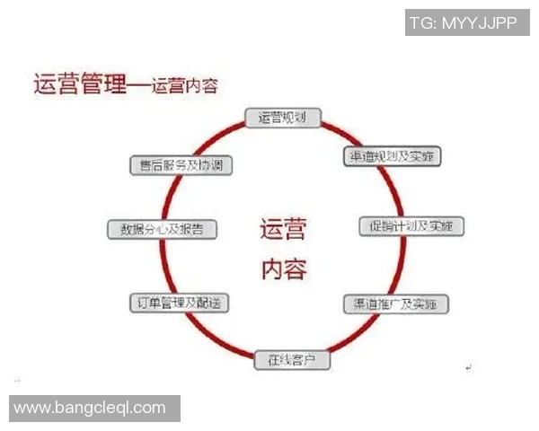 深入分析重庆足球队的运营策略与战术布局探讨