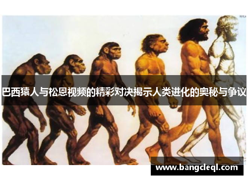 巴西猿人与松恩视频的精彩对决揭示人类进化的奥秘与争议