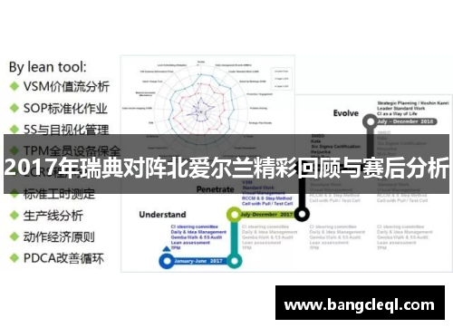 2017年瑞典对阵北爱尔兰精彩回顾与赛后分析